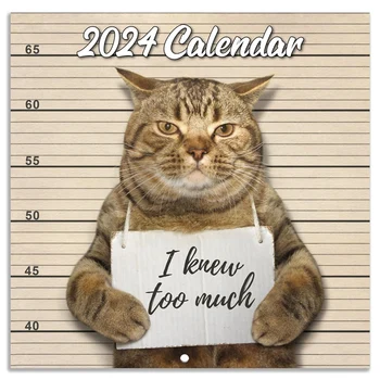 Настенный календарь на 2024 год, январь 2024 - декабрь 2024, Настенный календарь, подарок с кляпом, Забавный кот