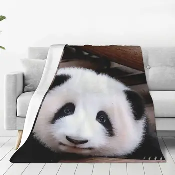 Одеяло с животными Хуахуа Панда, Зимнее теплое декоративное покрывало для кровати, покрывало для путешествий в спальню